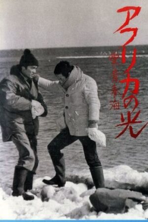 Africas Light (1975)