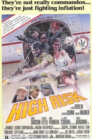 High Risk (1981)