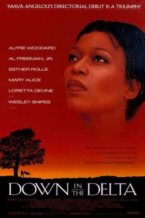 Down in the Delta (1998) Down in the Delta (1998)