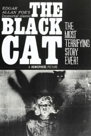 The Black Cat (1966)