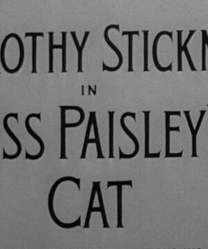 Miss Paisleys Cat (1957) Miss Paisleys Cat (1957)