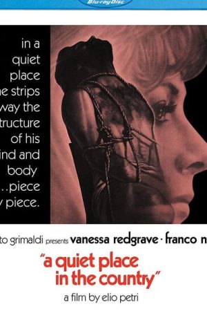 A Quiet Place in the Country (1968) A Quiet Place in the Country (1968)