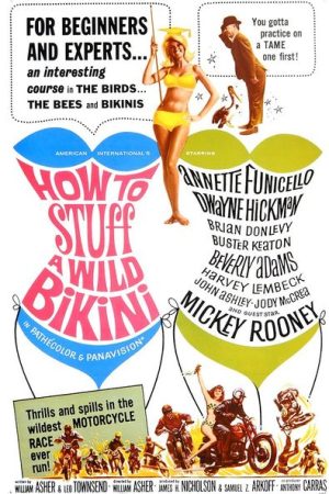 How to Stuff a Wild Bikini (1965)