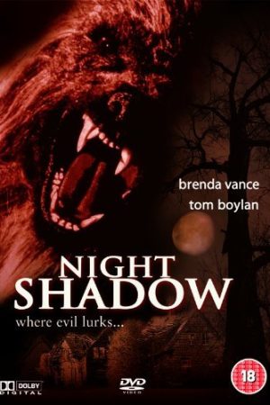 Night Shadow (1989)
