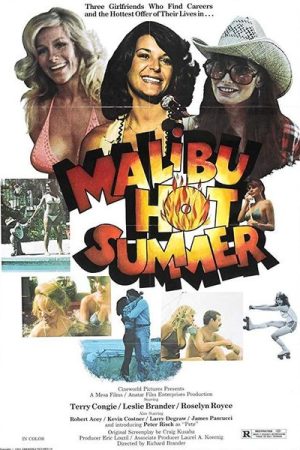 Malibu Hot Summer (1981)