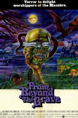From Beyond the Grave (1974)