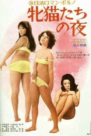 Night Of the Felines (1972)