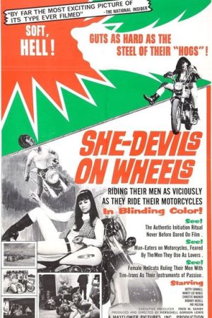 She Devils on Wheels (1968) She Devils on Wheels (1968)