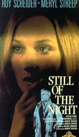 Still of the Night (1982)