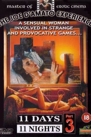 11 Days 11 Nights Part 3 (1989)
