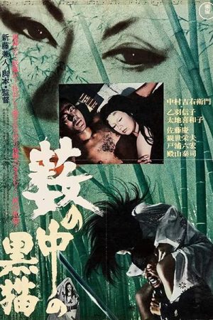 Kuroneko (1968)