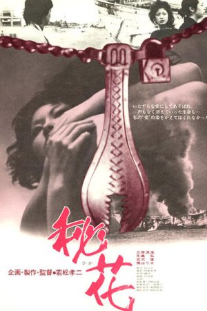 Secret Flower (1971) Secret Flower (1971)