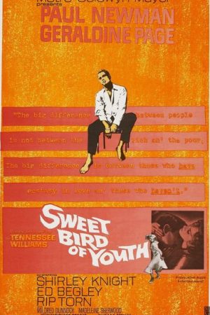 Sweet Bird of Youth (1962)