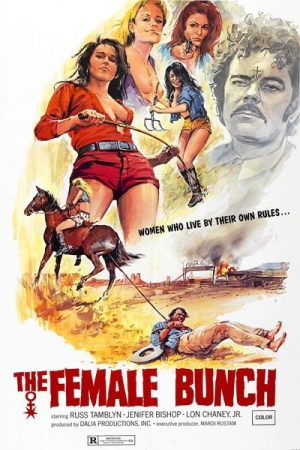 The Female Bunch (1971)