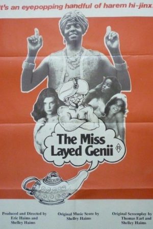 The Mislayed Genie (1973)